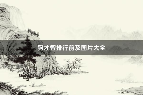 狗才智排行前及图片大全