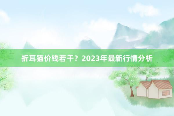 折耳猫价钱若干？2023年最新行情分析
