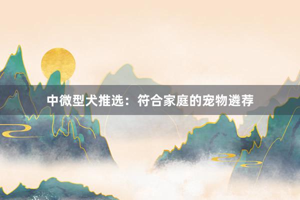 中微型犬推选：符合家庭的宠物遴荐